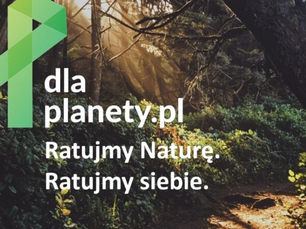 Zielona wstążka fot. UMP