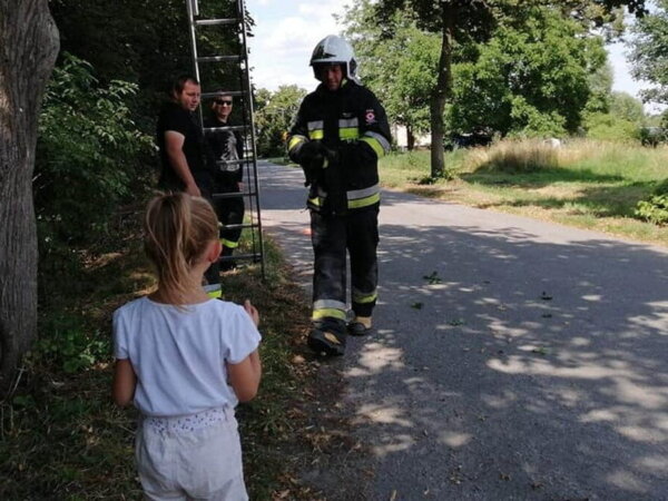 ratowanie kotka fot. OSP Gułtowy
