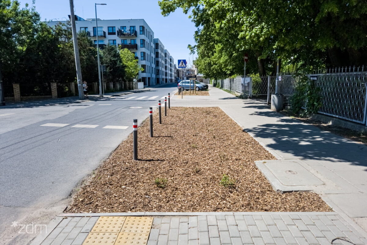 Ul. Mariacka Nowe Nasadzenia Fot. ZDM