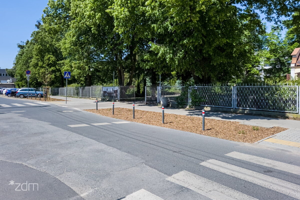 Ul. Mariacka Nowe Nasadzenia Fot. ZDM 1