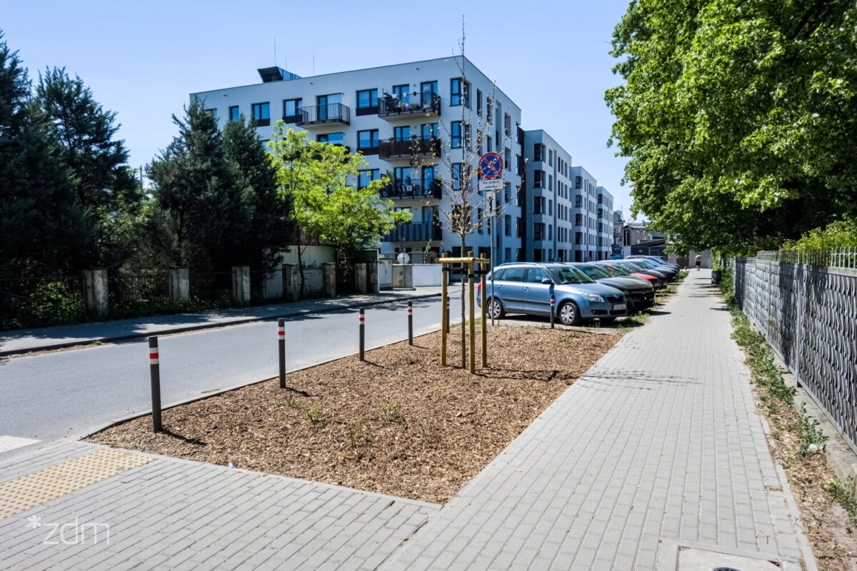 Ul. Mariacka Nowe Nasadzenia Fot. ZDM 2