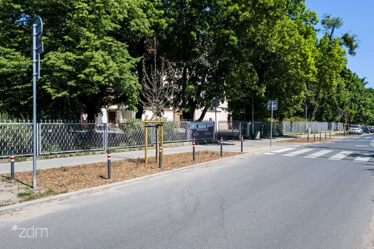 Ul. Mariacka Nowe Nasadzenia Fot. ZDM 3