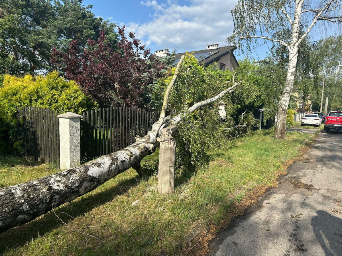 Skutki Burzy Fot. Ml. Kpt. Mateusz Kentzer KP PSP Pila 1