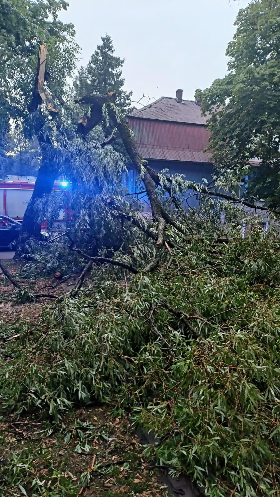 Skutki Burzy Fot. KP PSP Zlotow Jednostki OSP Z Powiatu Zlotowskiego 2