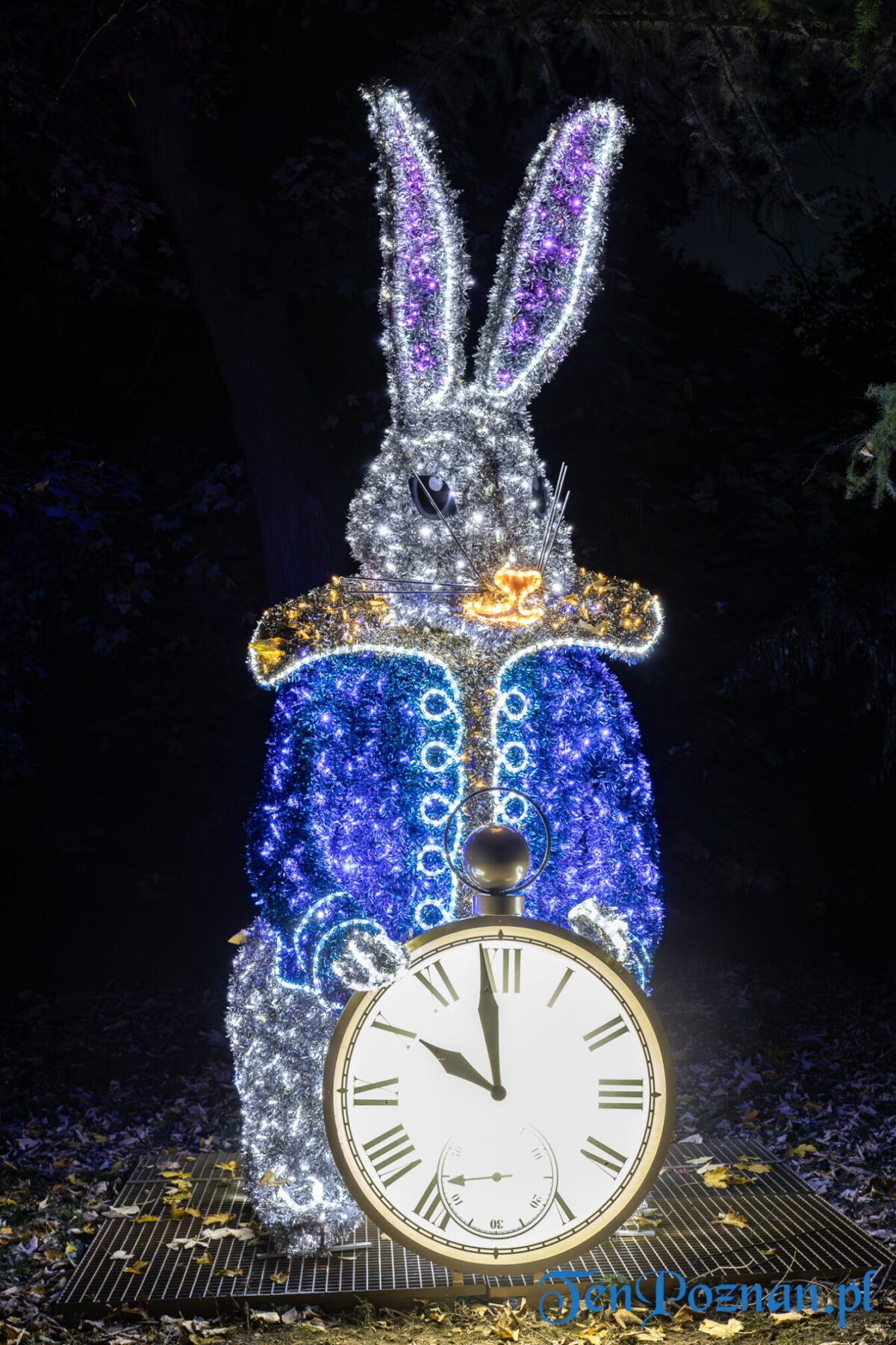 TP Alicja W Krainie Czarow Lumina Park Fot. Slawek Wachala 30